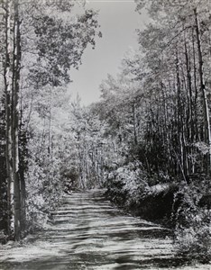 Image description is not available for 2007.045